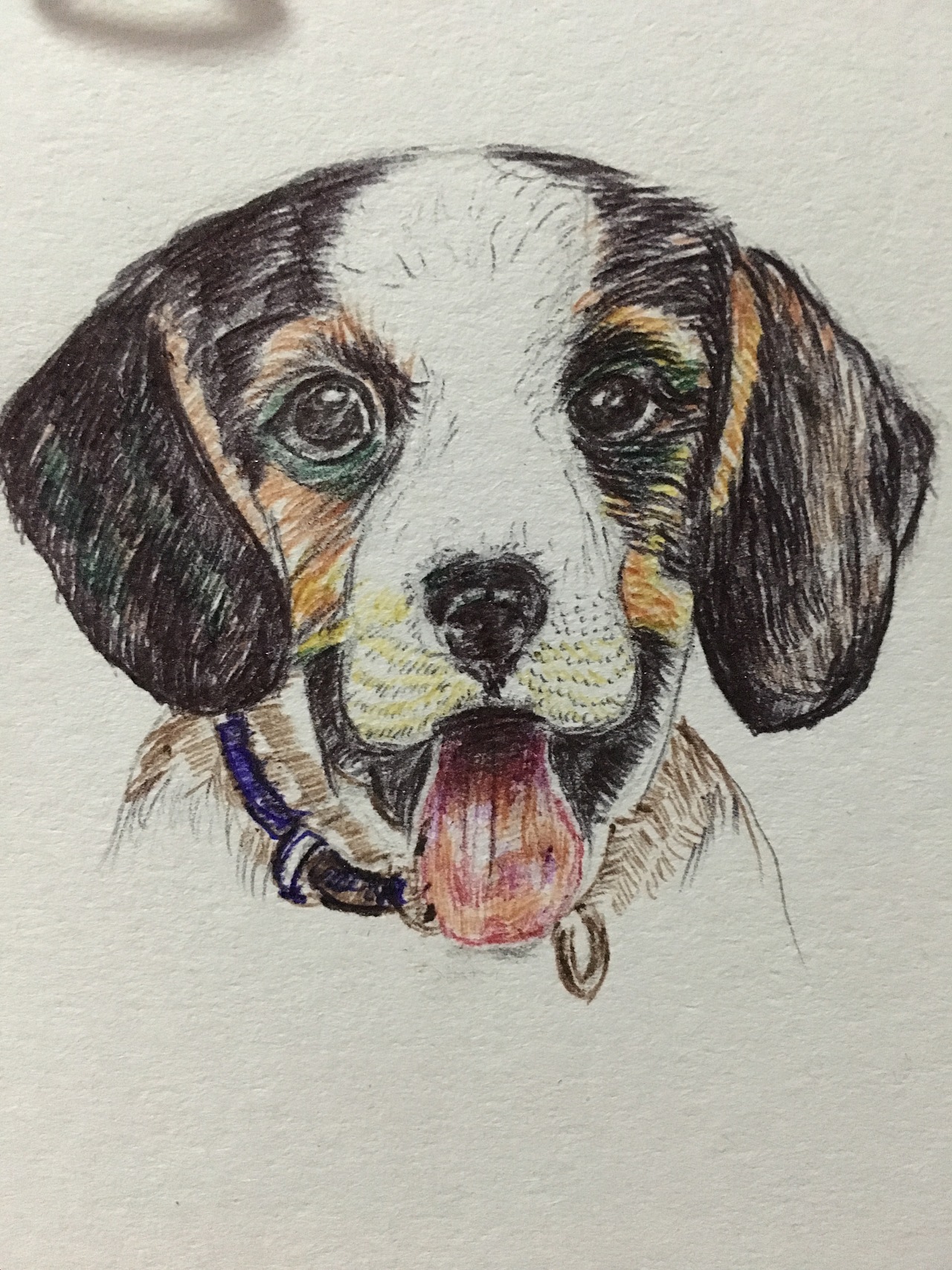 圆珠笔画个狗狗