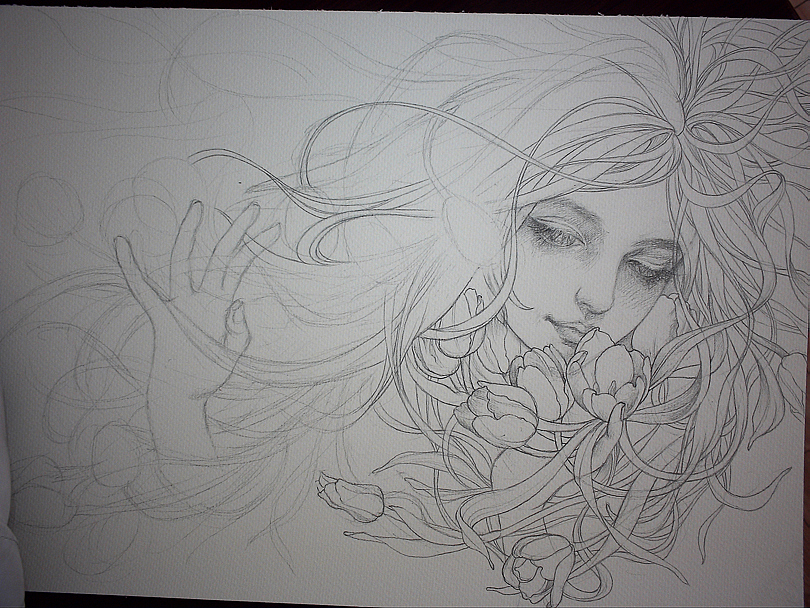 郁金香（图ZNzgyNTY1MjQ=） - 绘画 - 站酷设计师kekebaby原创素材 - 站酷ZCOOL