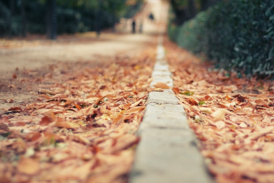 Wind风筝的个人主页（封面预览） - 主页封面设置 - 站酷设计师Wind风筝原创素材 - 站酷ZCOOL