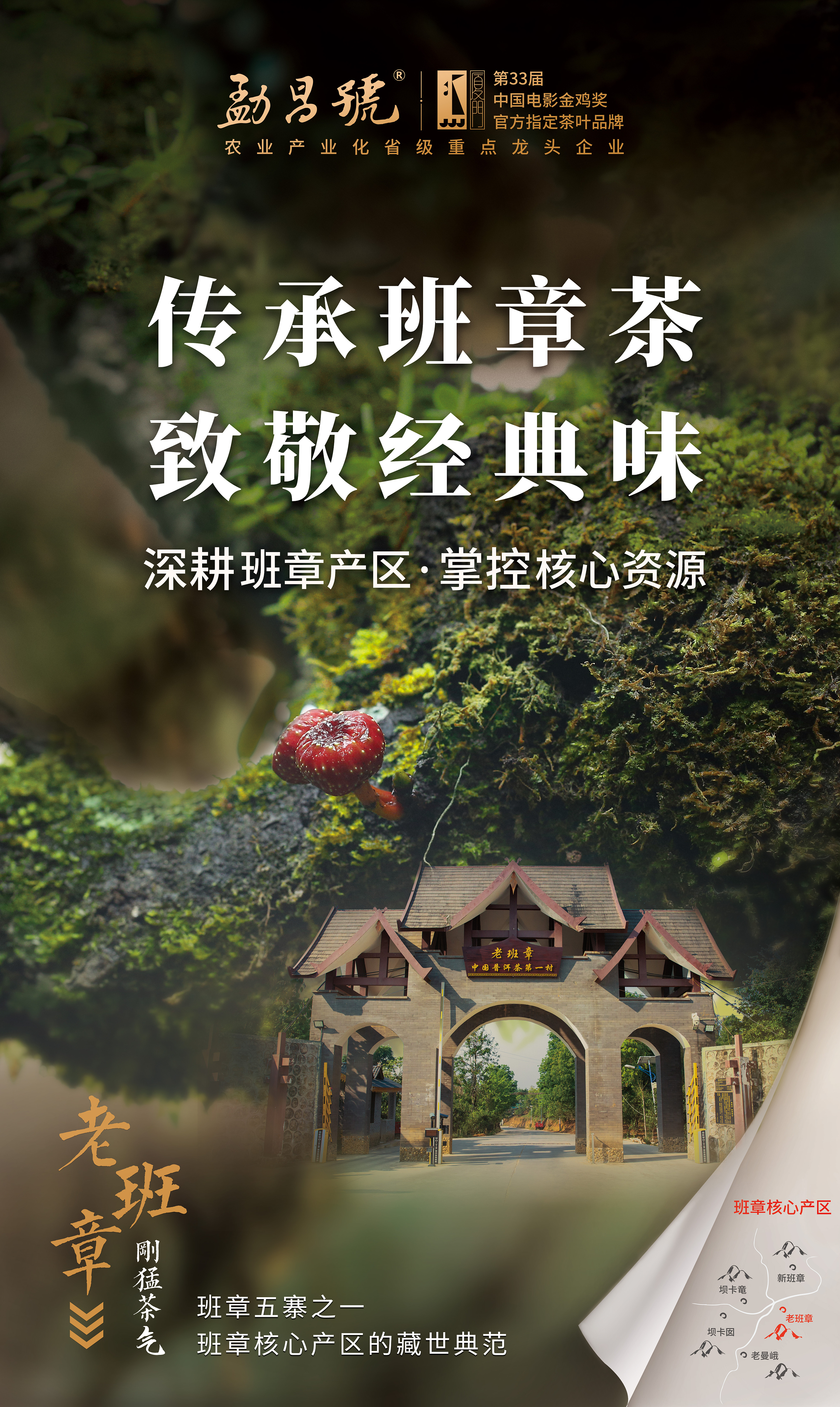 走进云南普洱茶,班章五寨|平面|海报|皮革 - 原创作品 - 站酷 (zcool)