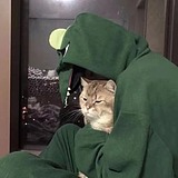 伍骨的头像