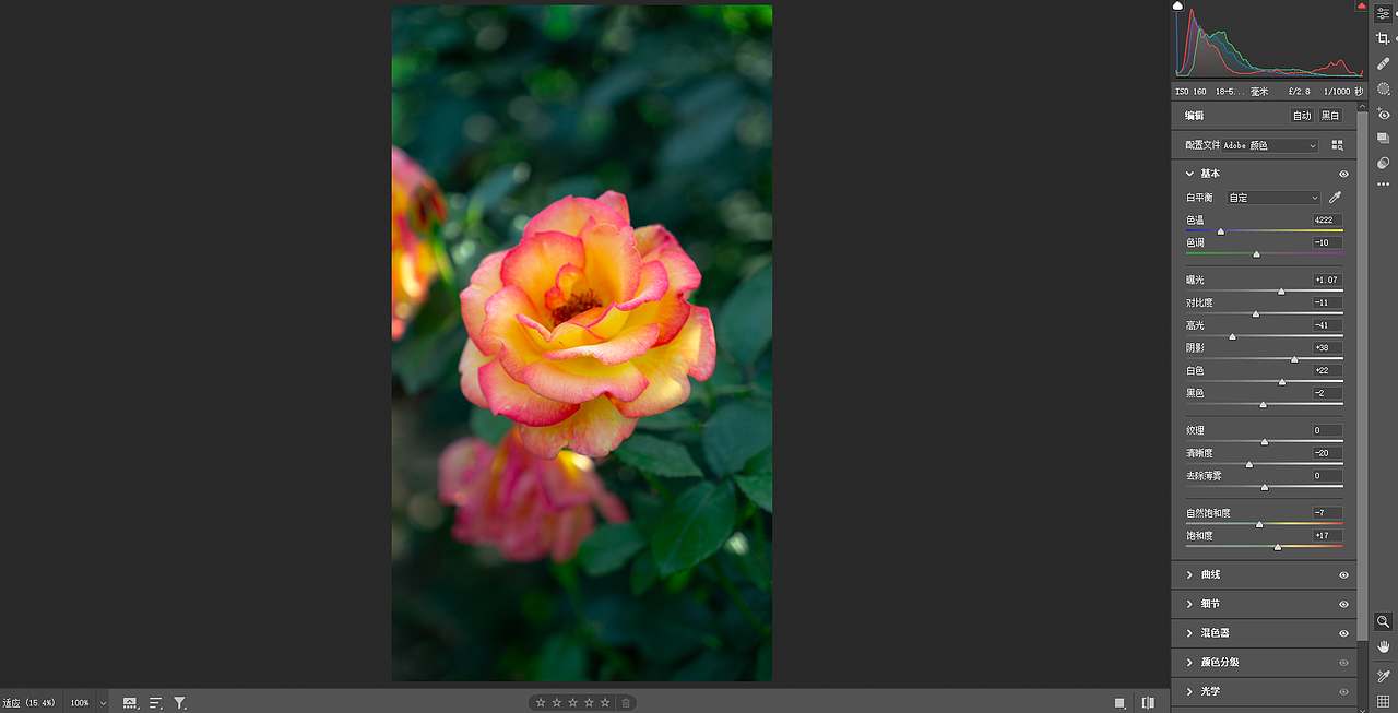 风景图/Lut滤镜/照片调色