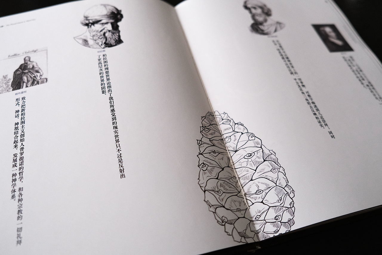 「松果启示录」书籍装帧设计 | 节选自《源场》（图ZMjQ3NDU5ODIw） - 书籍/画册 - 站酷设计师龍柏原创素材 - 站酷ZCOOL