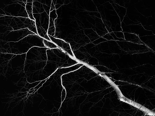 广德寺（个人主页-ZNTg5MDcwMzY=） - 人文/纪实摄影 - 站酷设计师Samletter原创素材 - 站酷ZCOOL