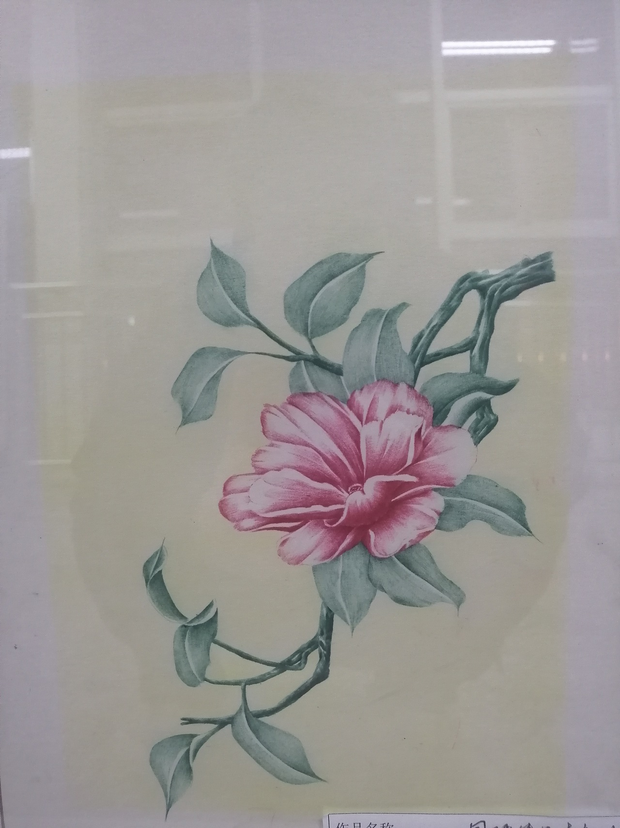 一花一世界（图ZMjMxMzMxODQw） - 绘本 - 站酷设计师空空橘子原创素材 - 站酷ZCOOL