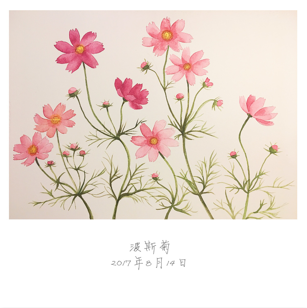 本周总结（图ZODkwNTUzODQ=） - 创作习作 - 站酷设计师朵那原创素材 - 站酷ZCOOL