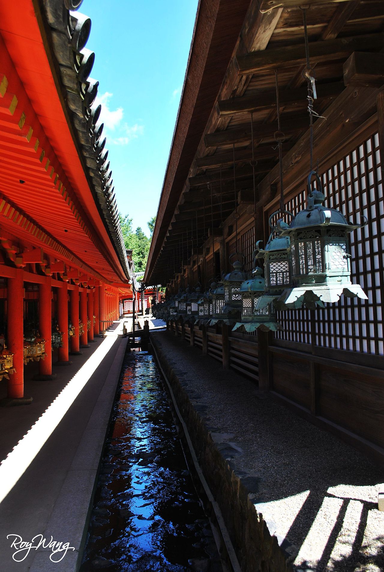 RoyWang作品 奈良之夏（图ZMTQ1NjYwMA==） - 风光摄影 - 站酷设计师Roywang光绘艺术原创素材 - 站酷ZCOOL