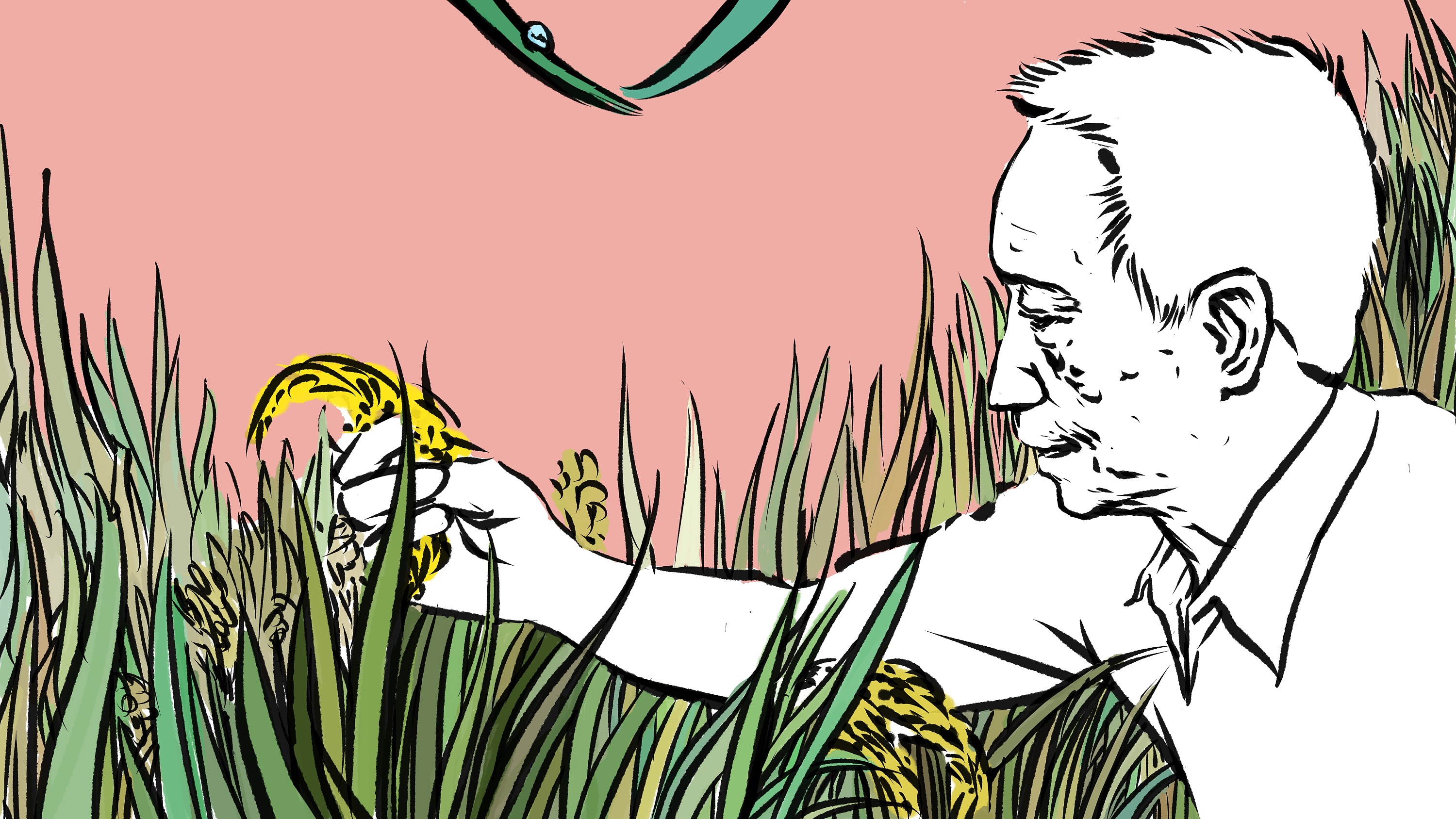 纪念袁隆平爷爷