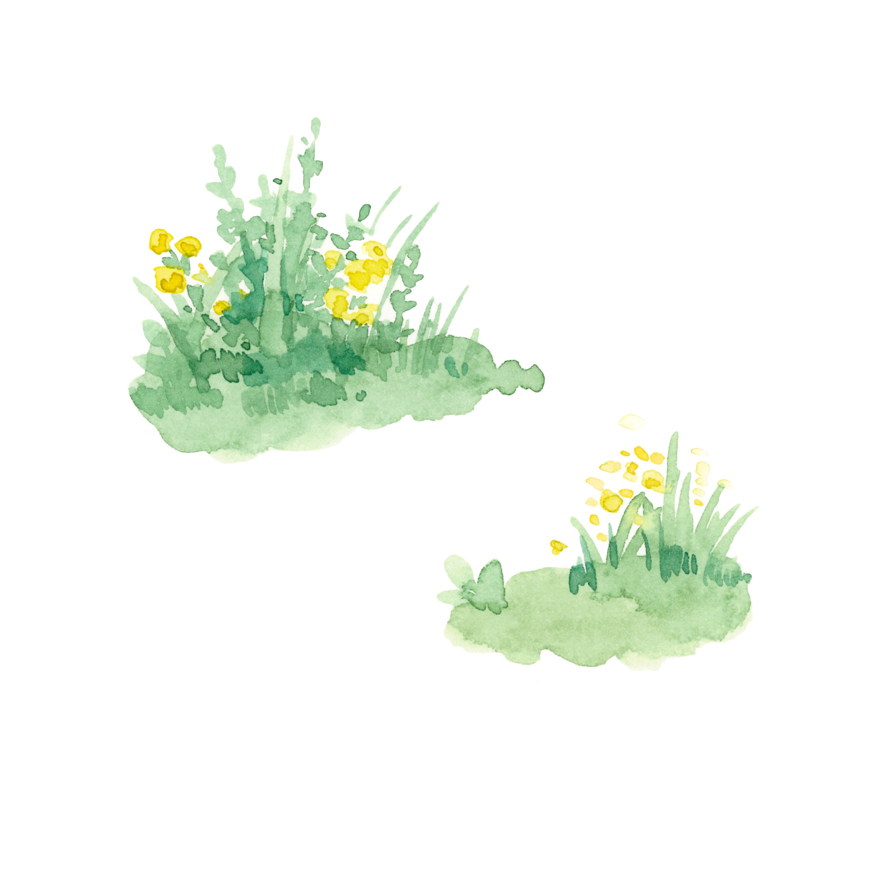 理想花园|插画|商业插画|软趴趴lala - 原创作品 - 站酷 (zcool)