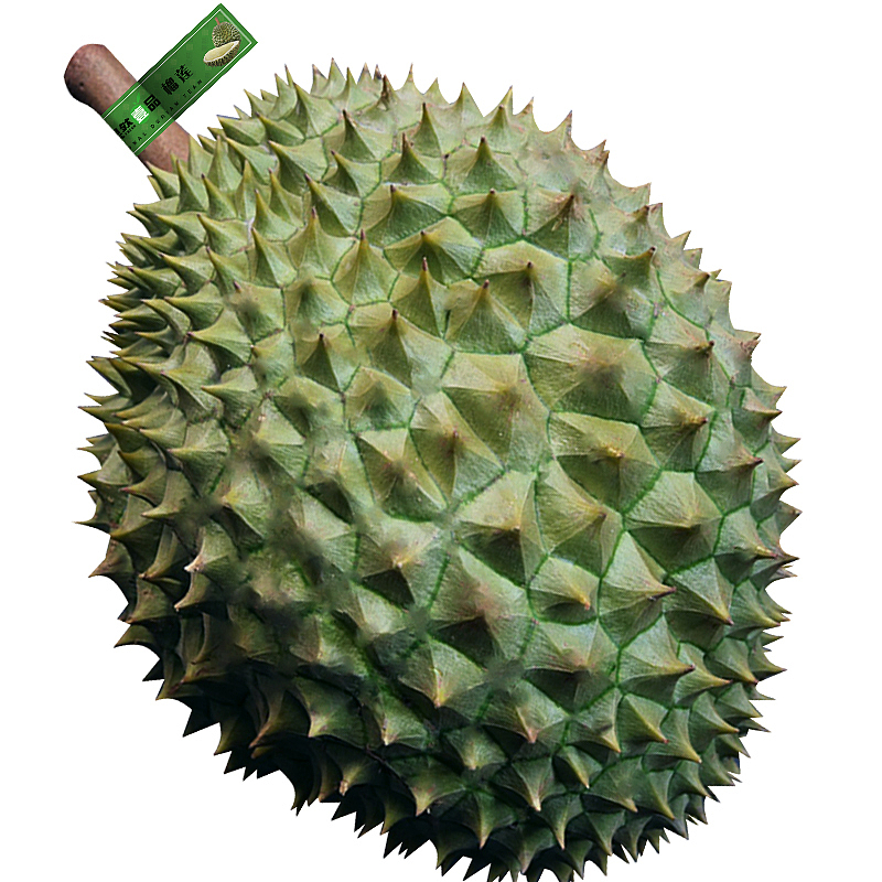 628  活动大小图   果然壹品