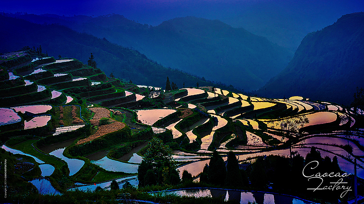 「小梯田大色彩」