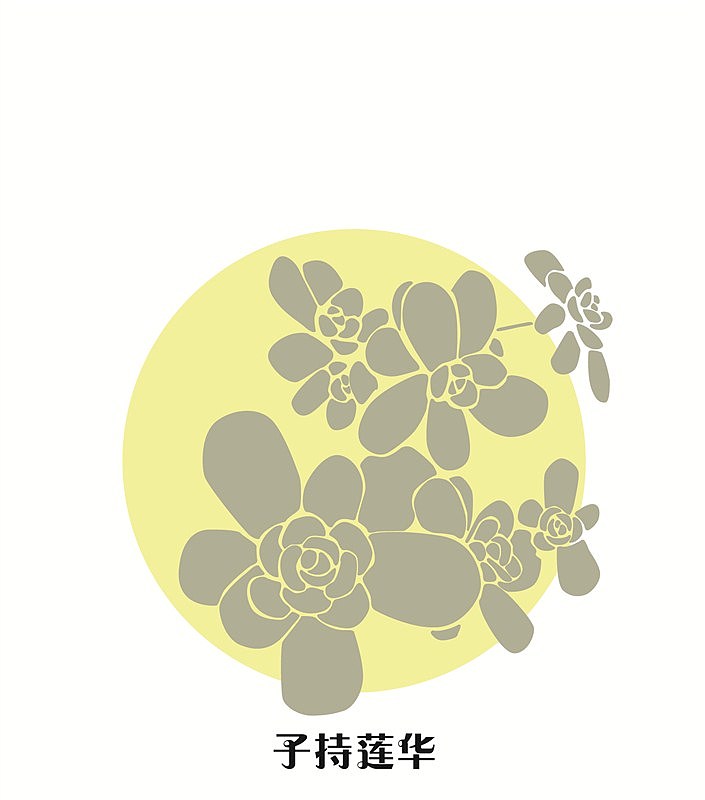 多肉植物图案纹样设计