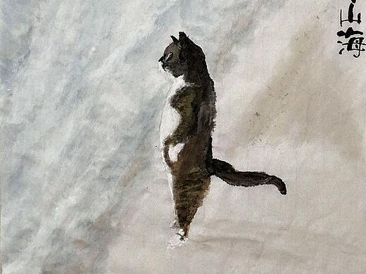 心有山海（個(gè)人主頁-ZNDM3MjA3Njg=） - 創(chuàng)作習(xí)作 - 站酷設(shè)計(jì)師世事如白云蒼狗原創(chuàng)素材 - 站酷ZCOOL