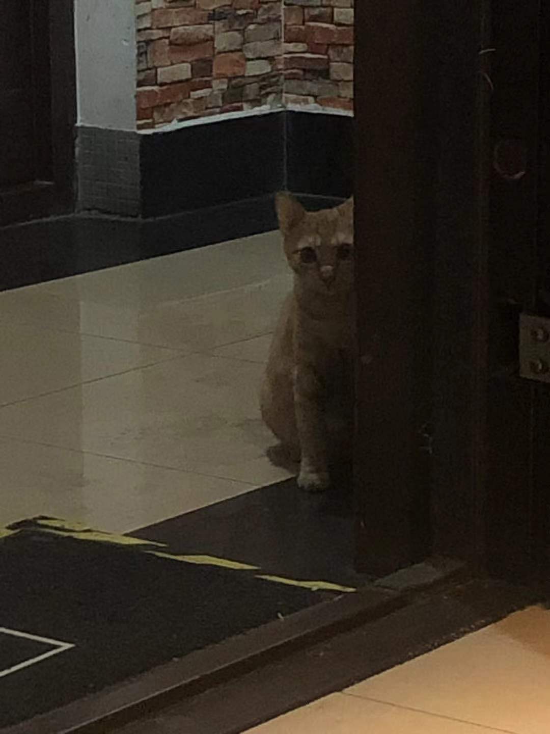 【摄像】琐碎的瞬间（图ZMjgyMjA0NTQ0） - 风光摄影 - 站酷设计师尤里里里子原创素材 - 站酷ZCOOL