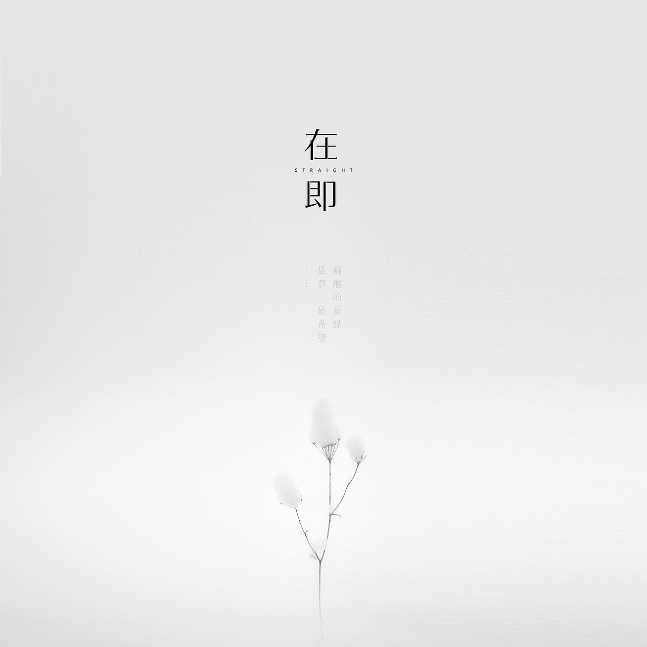 原创女装品牌《在即》品牌视觉体验