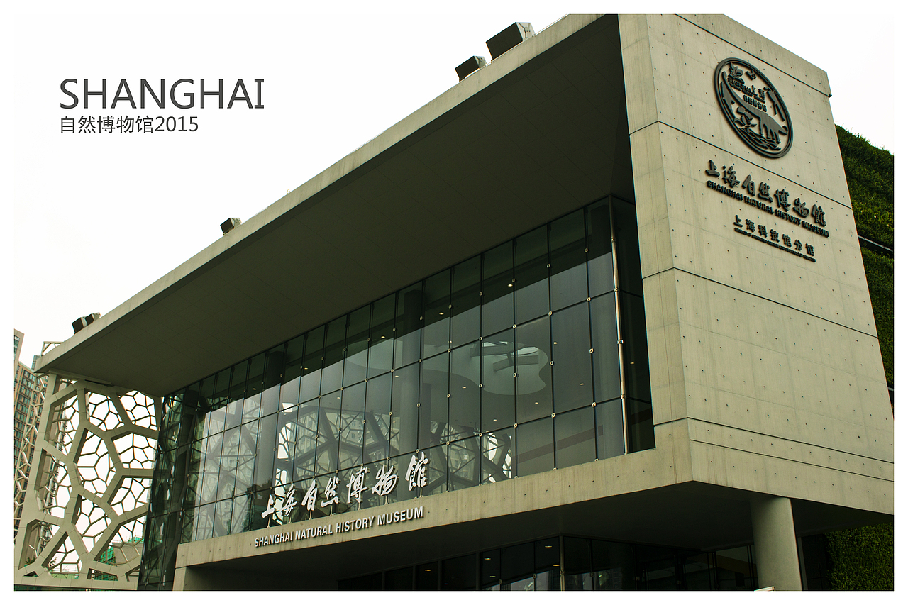 上海自然博物馆掠影