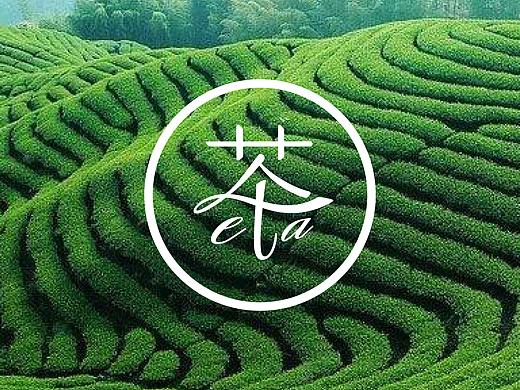 茶叶品牌视觉