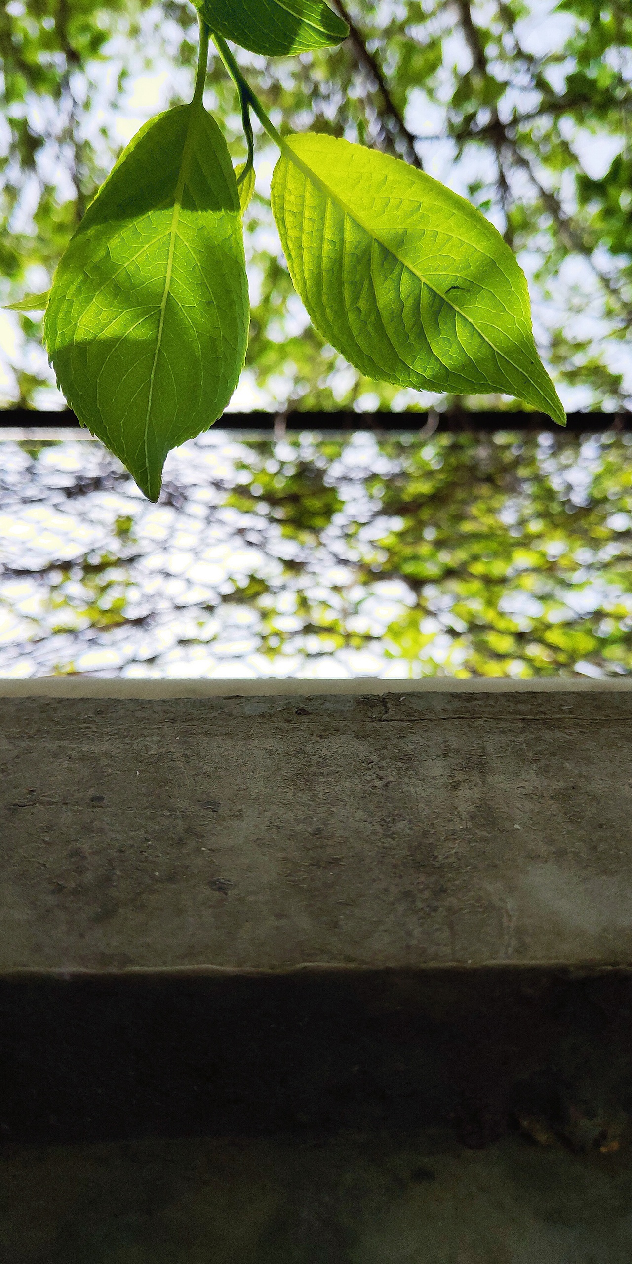 2019年北漂所见—手机随拍(上)（图ZMTk2MTI2MDg0） - 人文/纪实摄影 - 站酷设计师我是王冲原创素材 - 站酷ZCOOL