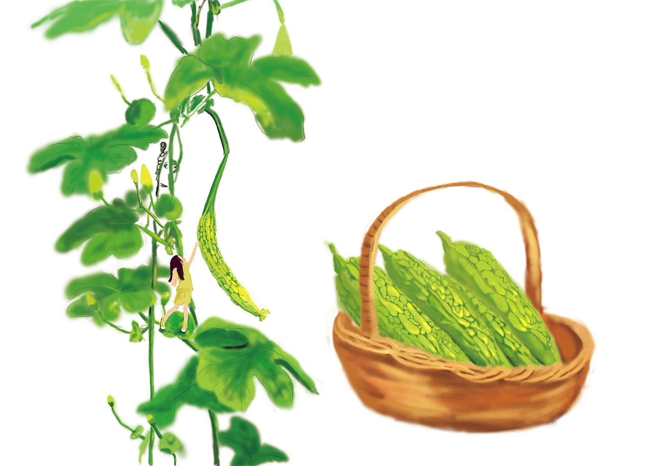 苦瓜