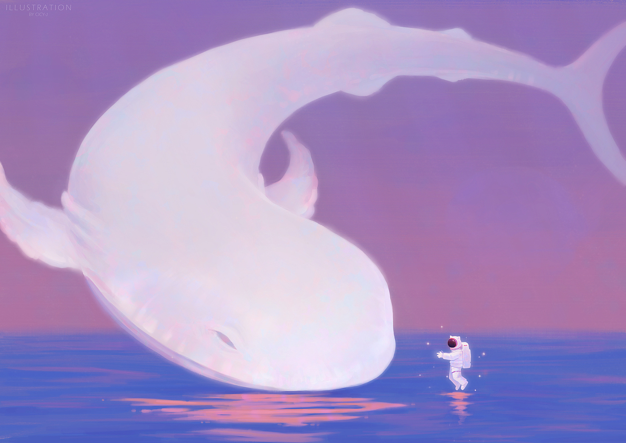 不一样的2018 总结