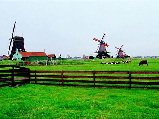 蛋花花漫步风景园林阅览山水画卷