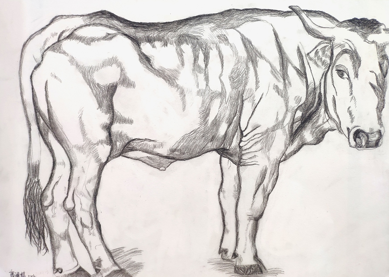 陈子画室 星沙画室 长沙县画室长沙画室 素描 油画漫画