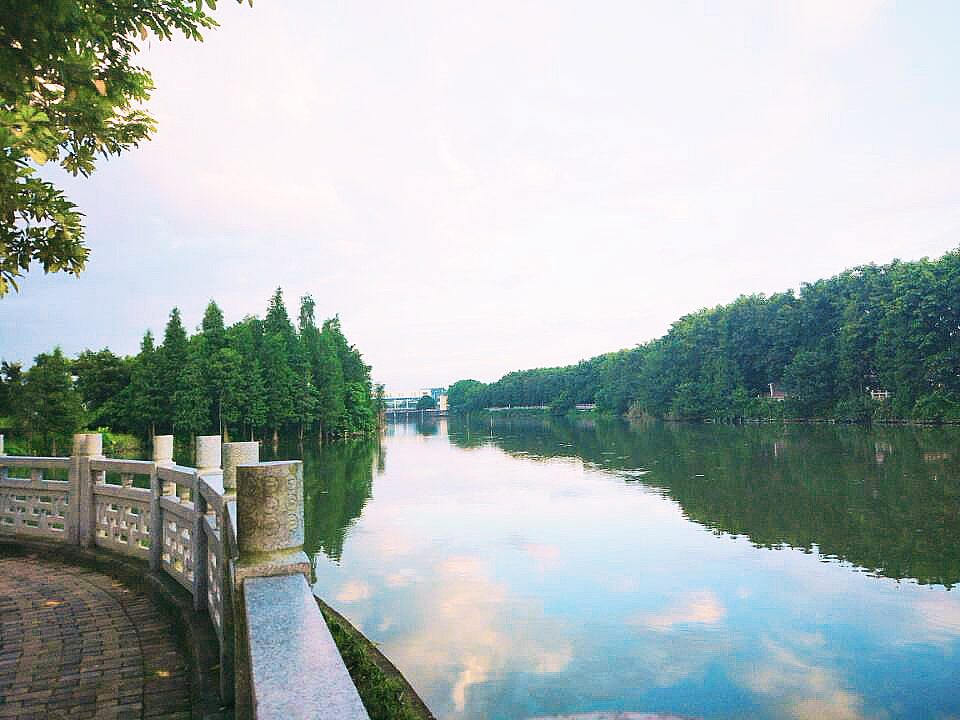 广州海珠仑头湿地公园