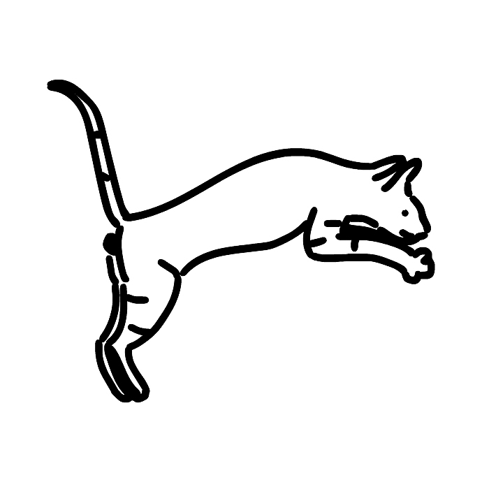 动物治愈行为大赏（图ZMjgzMzcyMzg4） - 创作习作 - 站酷设计师可因什戴思Liu原创素材 - 站酷ZCOOL