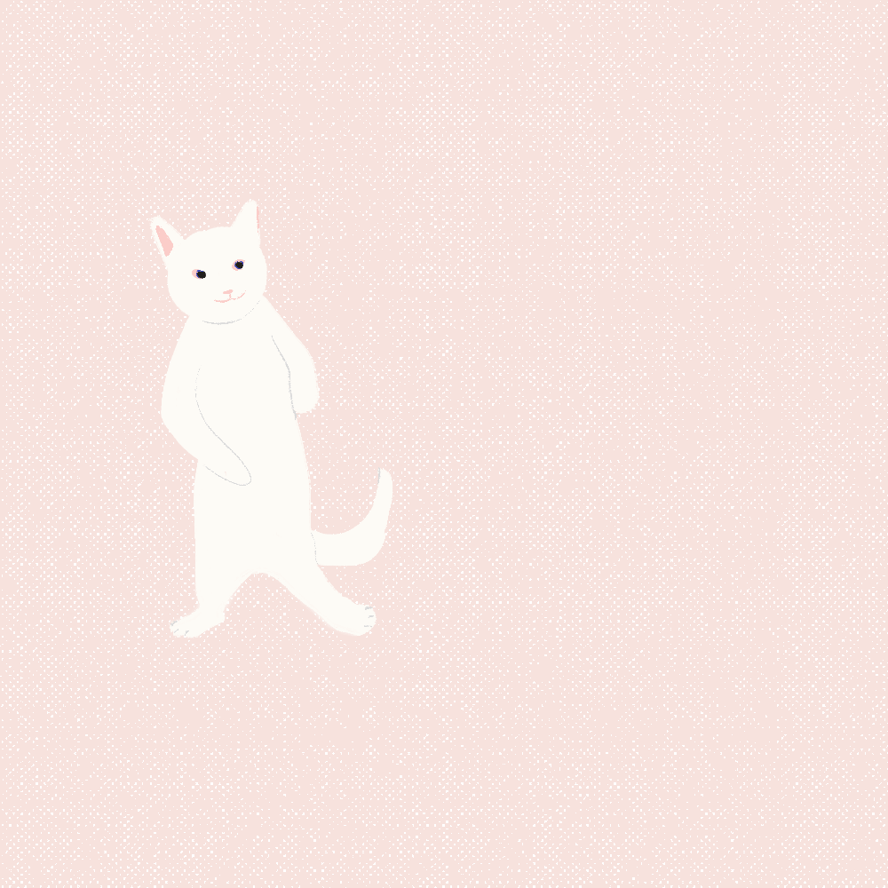 GIF动图插画|猫猫模特队