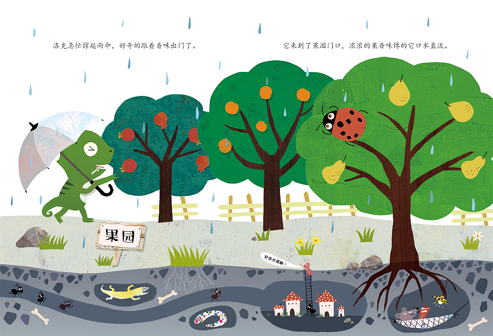 绘本《花瓢虫点点》