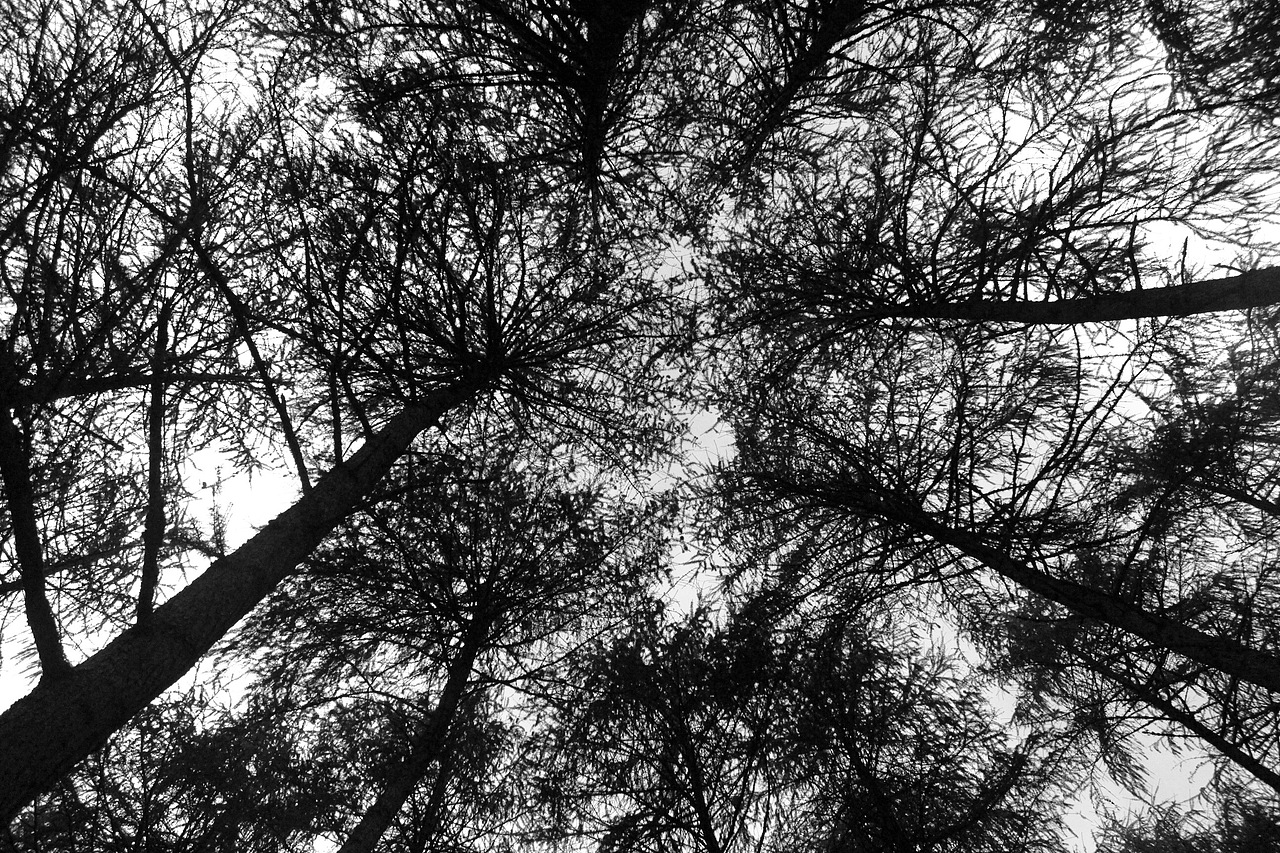 神木垒（图ZNjAzMDY2NDQ=） - 风光摄影 - 站酷设计师阿月_Vv原创素材 - 站酷ZCOOL