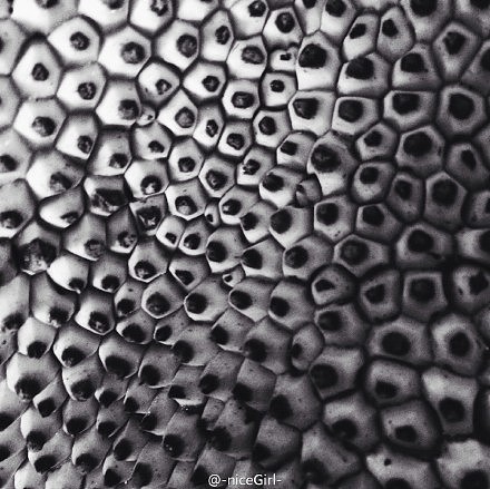 非专业 摄影 |原创