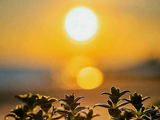 日落时分是天空最温柔的时刻