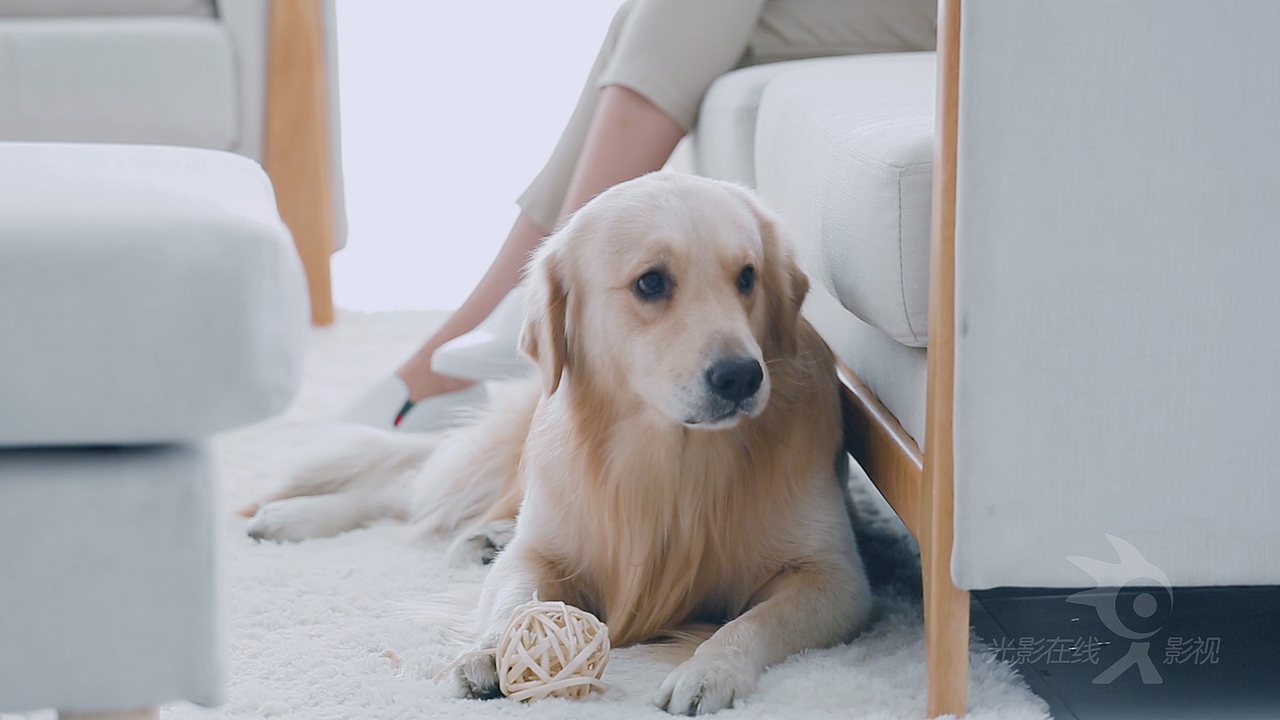 浦桑尼克-手持吸尘器(P8 Trojan)-日文正片