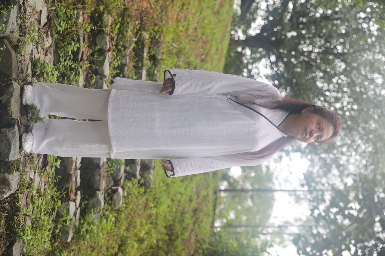 武当道致·理淳