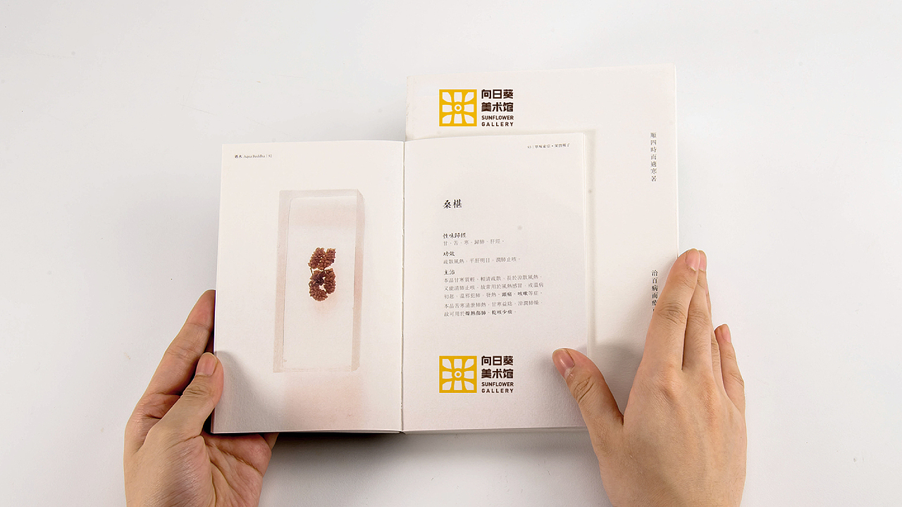 向日葵美术馆品牌形象logo设计（图ZMTgxNTQ1Njgw） - 品牌 - 站酷设计师张花生原创素材 - 站酷ZCOOL