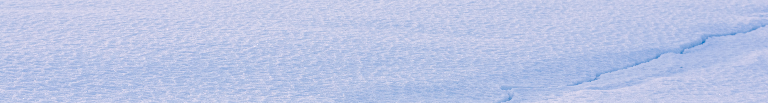 芝士兔兔兔的个人主页（封面预览） - 主页封面设置 - 站酷设计师芝士兔兔兔原创素材 - 站酷ZCOOL