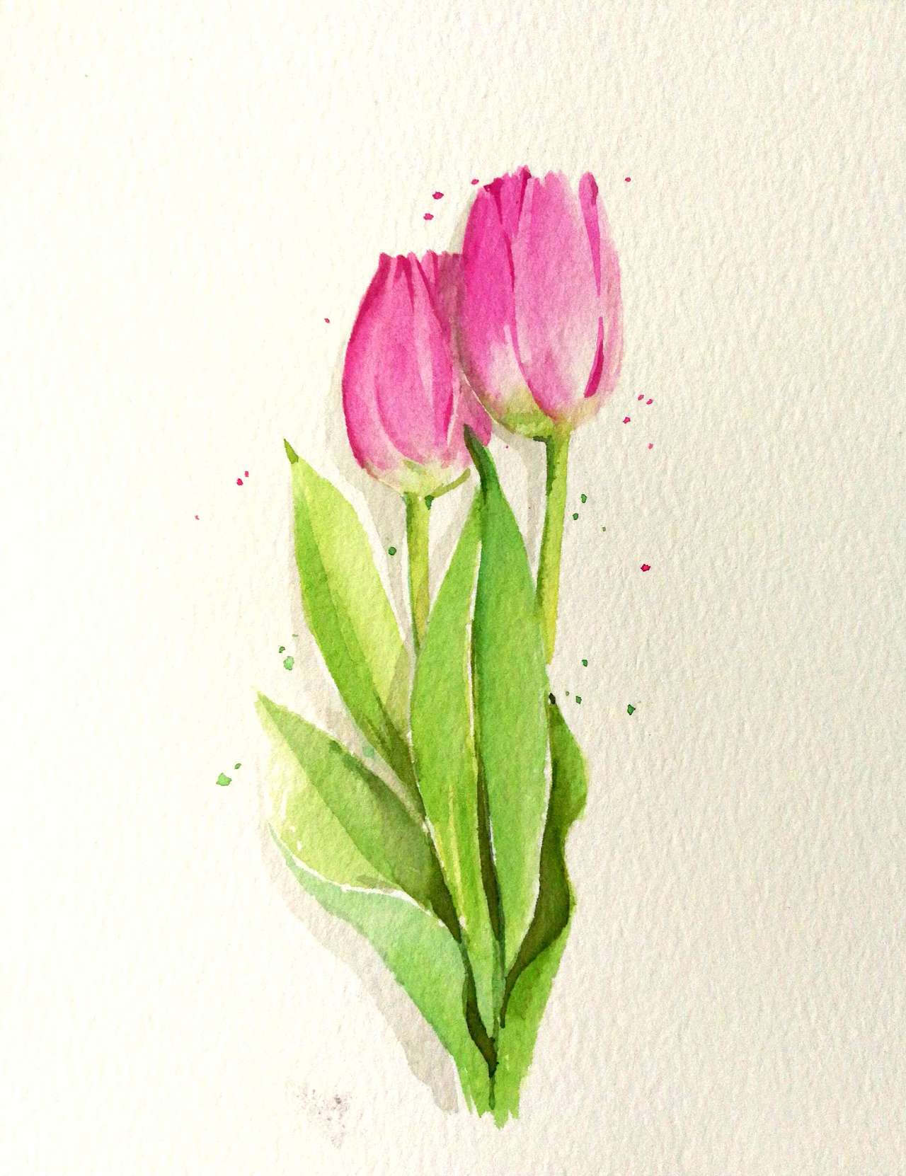 郁金香（图ZODE5Njc2OTI=） - 商业插画 - 站酷设计师方心上游原创素材 - 站酷ZCOOL