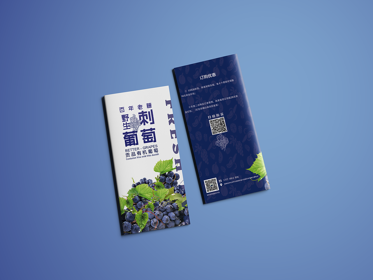 一款水果三折頁（圖ZMTA2MzQwNTgw） - 書籍/畫冊 - 站酷設計師小邊設計原創(chuàng)素材 - 站酷ZCOOL
