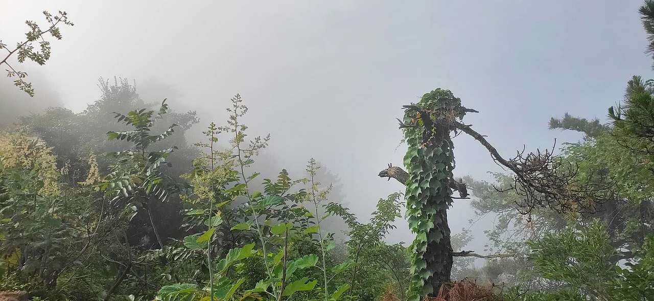 走遍大别山，醉意新县情（图ZMjE0NjM1OTc2） - 风光摄影 - 站酷设计师张嗨原创素材 - 站酷ZCOOL