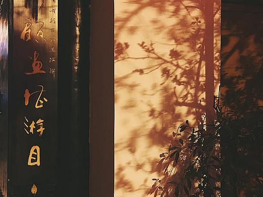 iPhone6摄影 树与海 北海 桂林 成都武侯祠（个人主页-ZMzg5NTYyNzI=） - 风光摄影 - 站酷设计师吃尾巴的猫原创素材 - 站酷ZCOOL