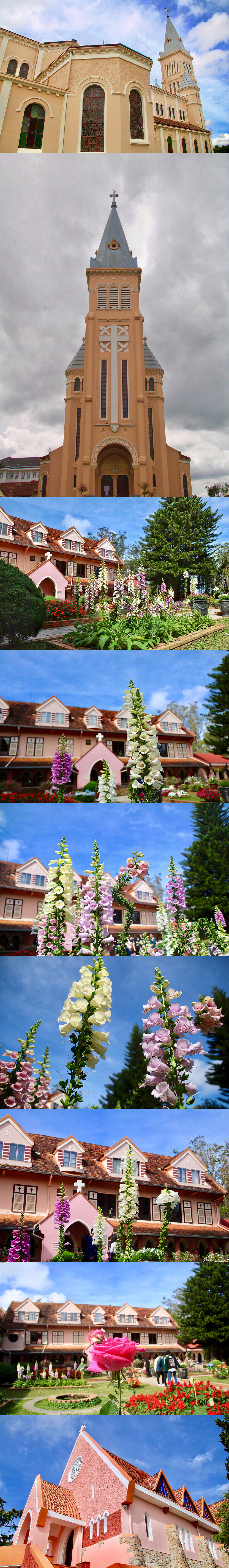 我的摄影作品合集