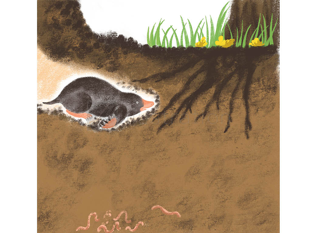 2019年已经发表的儿童插画（图ZMTY3NjE4NDEy） - 儿童插画 - 站酷设计师LJ柴柴儿童插画原创素材 - 站酷ZCOOL