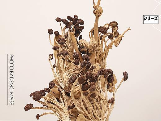 茶树菇拍摄+详情页主图设计