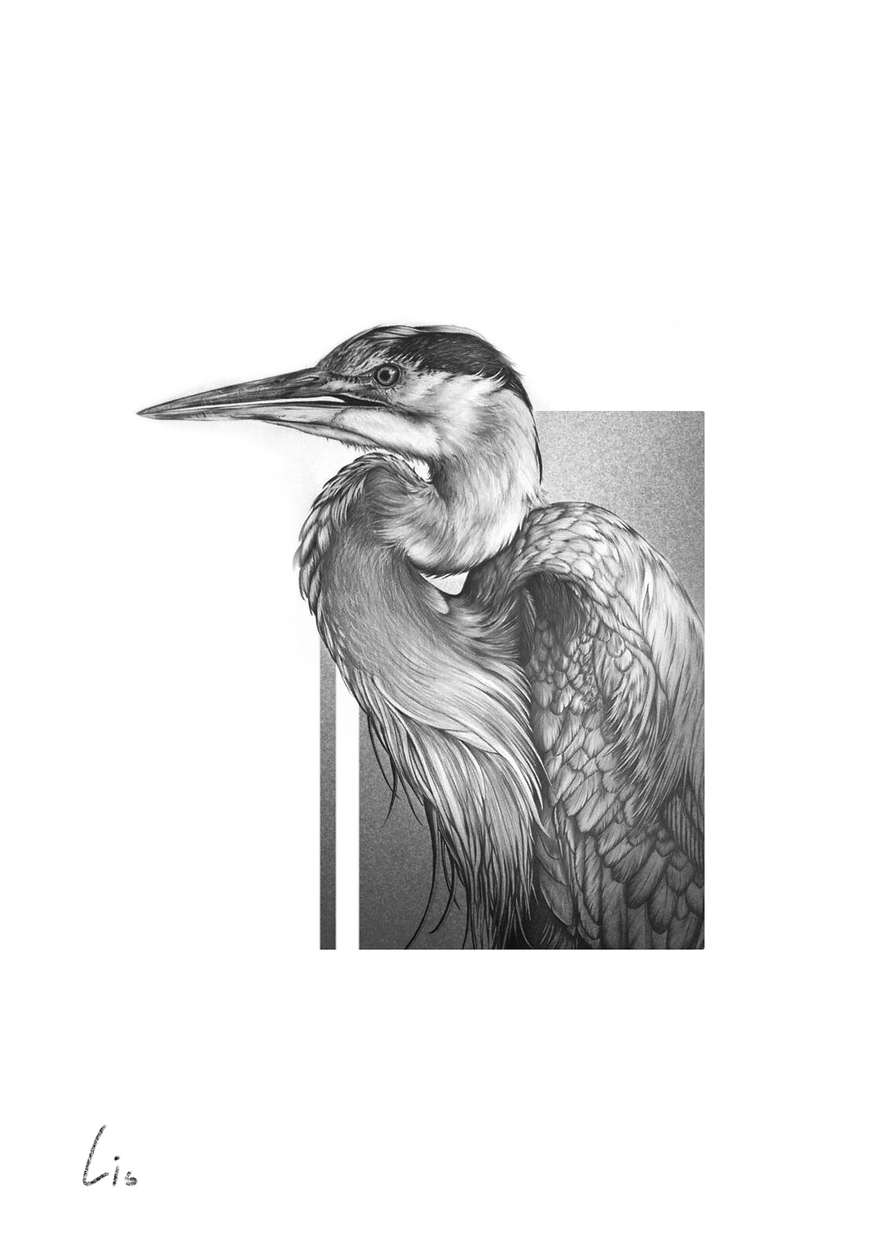 素描单针雕塑/鸟类小清新文身设计（图ZMTg3OTI3NzU2） - 图案 - 站酷设计师夏莉斯原创素材 - 站酷ZCOOL