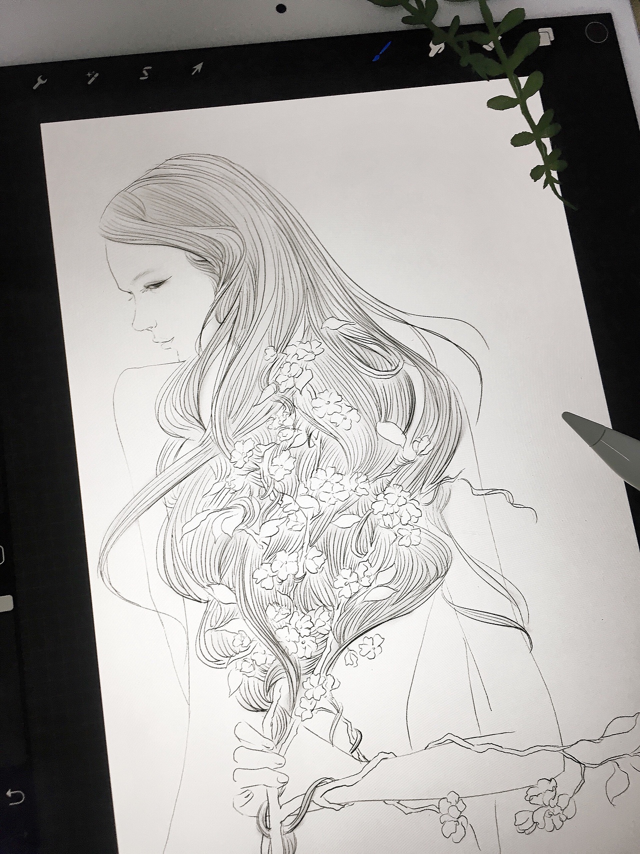 仲春初四日 春分梨花开