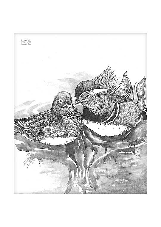 黑白绘-- 松鸦2015年插画合集（图ZNDA4NjE5MzY=） - 商业插画 - 站酷设计师鸦鸦永远原创素材 - 站酷ZCOOL