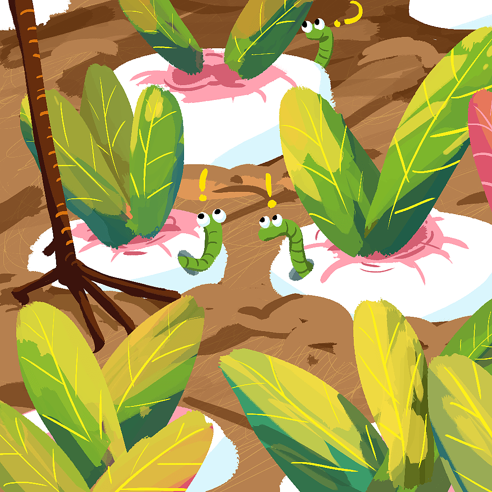 《看图答题》系列插画-1（图ZMjgxMDU1MDI4） - 儿童插画 - 站酷设计师菊子juzi原创素材 - 站酷ZCOOL