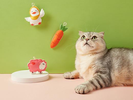 宠物用品拍摄（猫咪毛毡玩具）