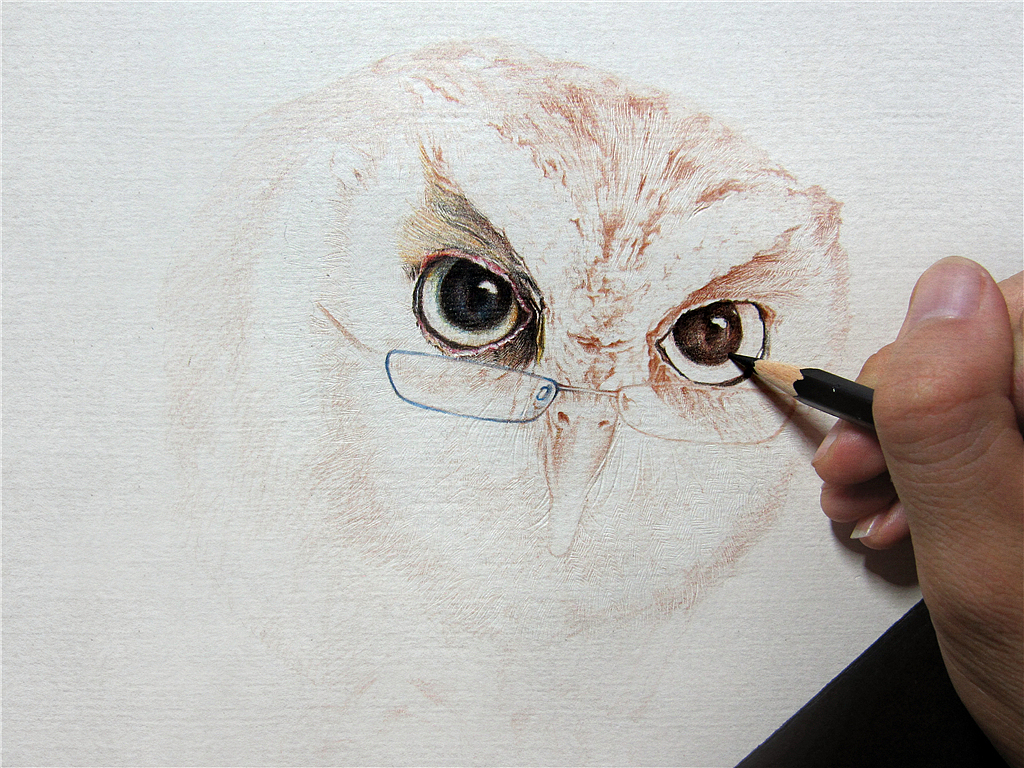 纸上彩铅-《福鸟花鸮》绘制过程（图ZMjcxNzI5MTI=） - 绘画 - 站酷设计师超超的青葱原创素材 - 站酷ZCOOL